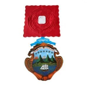 GUIRNALDA PATRIA FAC PTCR956 UNIDAD