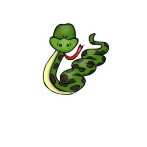 TARJETAS EDUCATIVAS SELVA PY 14X14CM 28 UNIDADES