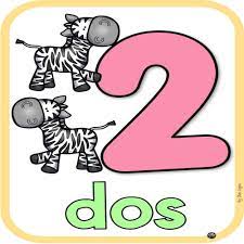 TARJETAS EDUCATIVAS DE NUMEROS PY 15X11CM 28 UNIDADES ESPAÑOL