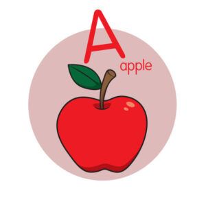 TARJETAS EDUCATIVAS DE LETRAS PY 15X11CM 28 UNIDADES INGLES