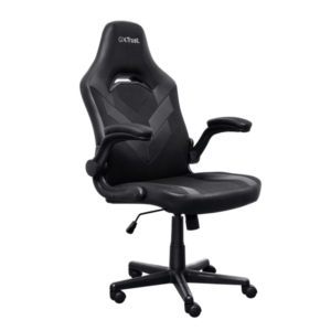 SILLA GXT 703 25128 (D1)
