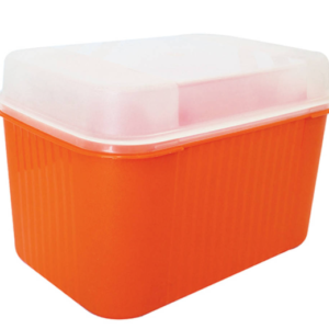 CAJA MULTIUSOS #4 SPARTA CON TAPA 20X20X30 CAJA4 (SYS)