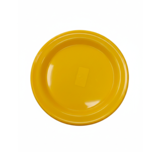 PLATO 6 NEOPLAST 22CM P6NAM (SYS)