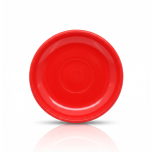 PLATO 6 NEOPLAST 22CM P6NR (SYS)