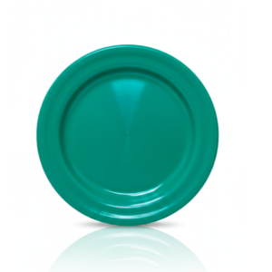PLATO 6 NEOPLAST 22CM P6NT (SYS)